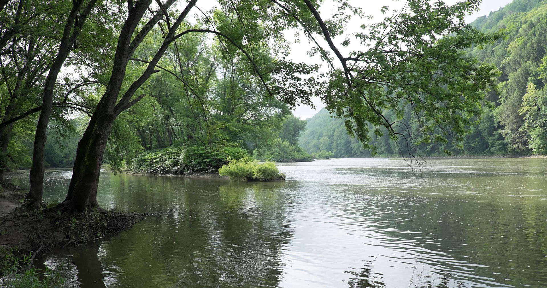 Site of the priesthood restoration at the Susquehanna River. Image via Church of Jesus Christ.