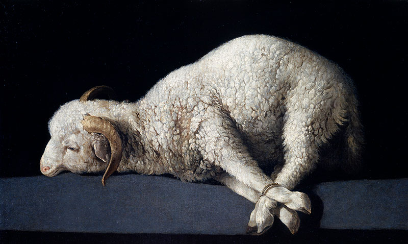 Agnus Dei by Francisco de Zurbarán via Wikimedia Commons.